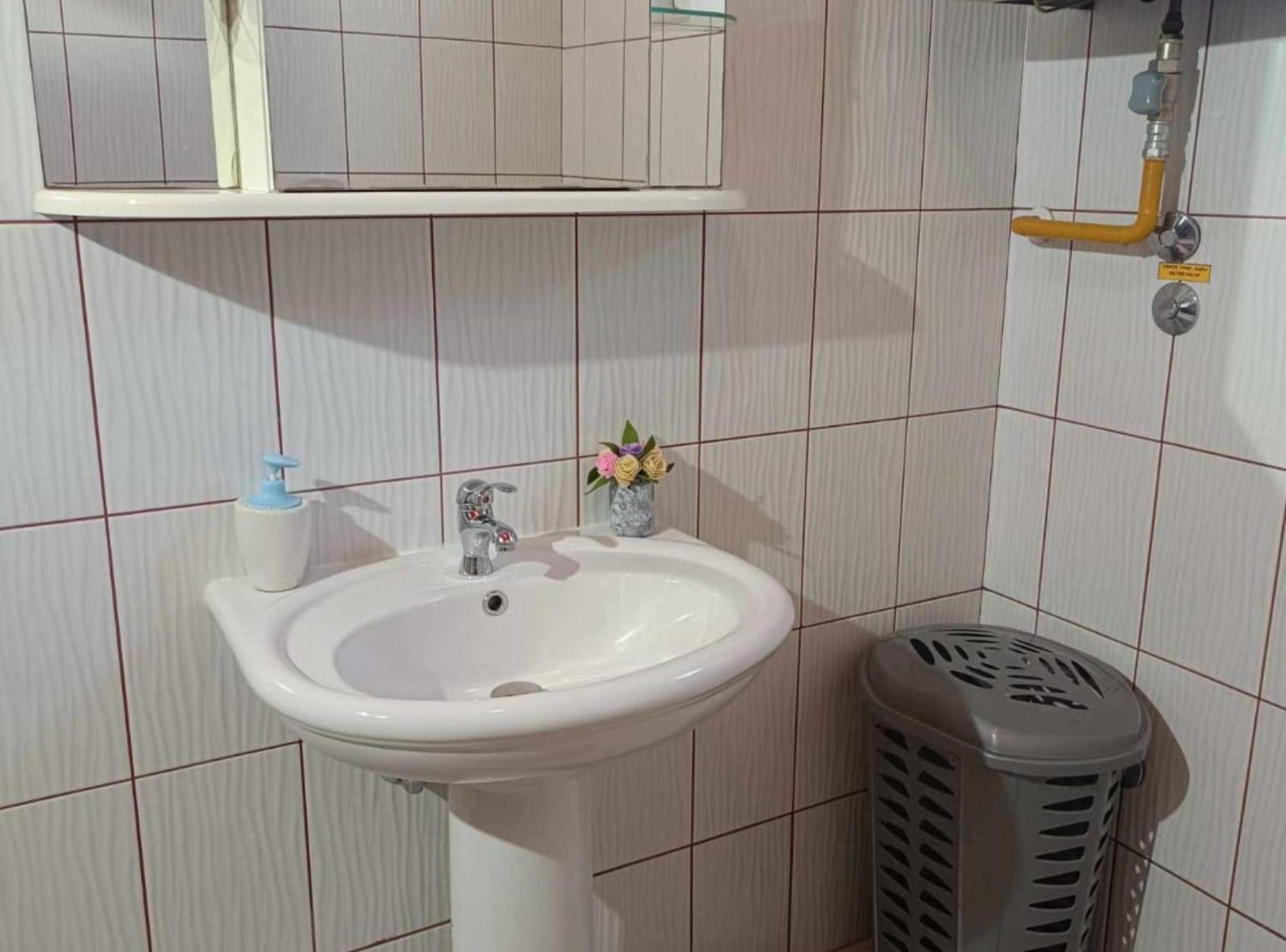 Apartmani Tea I Toni Gradiste المظهر الخارجي الصورة